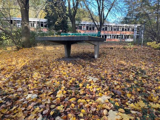 Tischtennistisch im Freien, umgeben von buntem Herbstlaub.