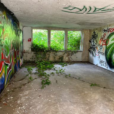 Verlassenes Zimmer mit Graffiti und Pflanzenbewuchs an den Wänden und Boden.